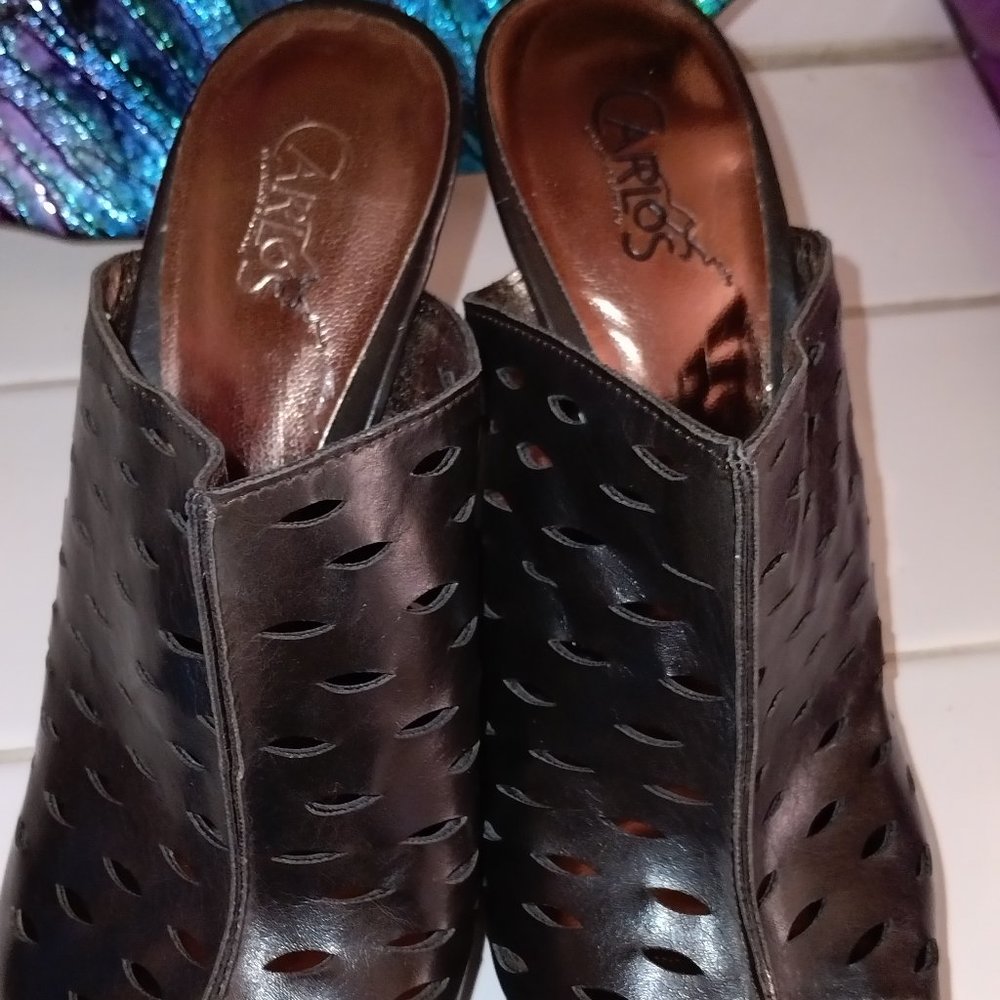 👠CARLOS SANTANA👠 Platform Mules